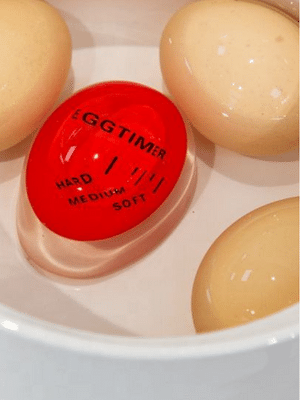 Egg Timer